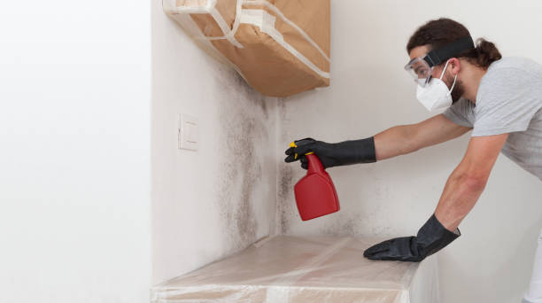 Professional Mold Remediation technician working in Hamilton, IL