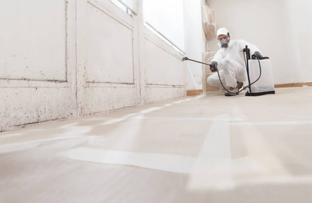 24/7 Emergency Mold Remediation experts in Hamilton, IL